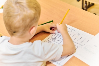 Подготовка к школе. Чтение, математика, адаптация к школе.