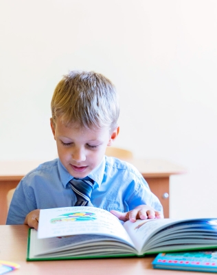 Подготовка к школе. Чтение, математика, адаптация к школе.