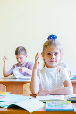 Подготовка к школе. Чтение, математика, адаптация к школе.