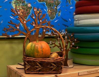 Группа общего развития ребенка