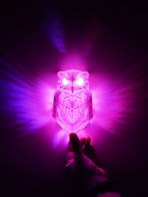 Детский выпускной. Тематический мастер класс Загадка сов.