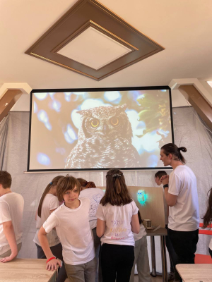 Детский выпускной. Тематический мастер класс Загадка сов.